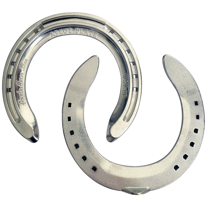 Apple Ascot WSV Racing Plate Fronts