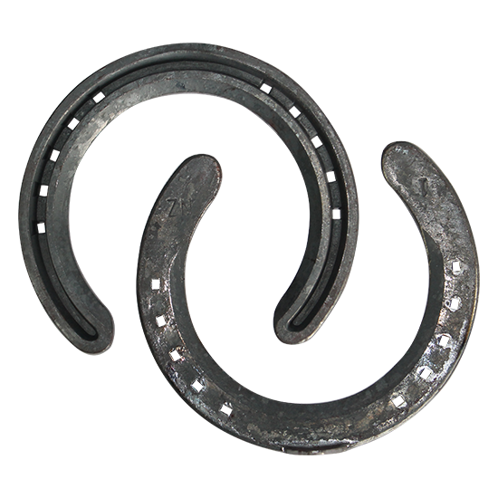 New Zealand Concave Toe-Clipped Front